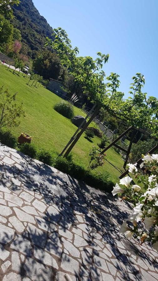 House With Big Garden And Barbeque In Nature Vourgareli Buitenkant foto