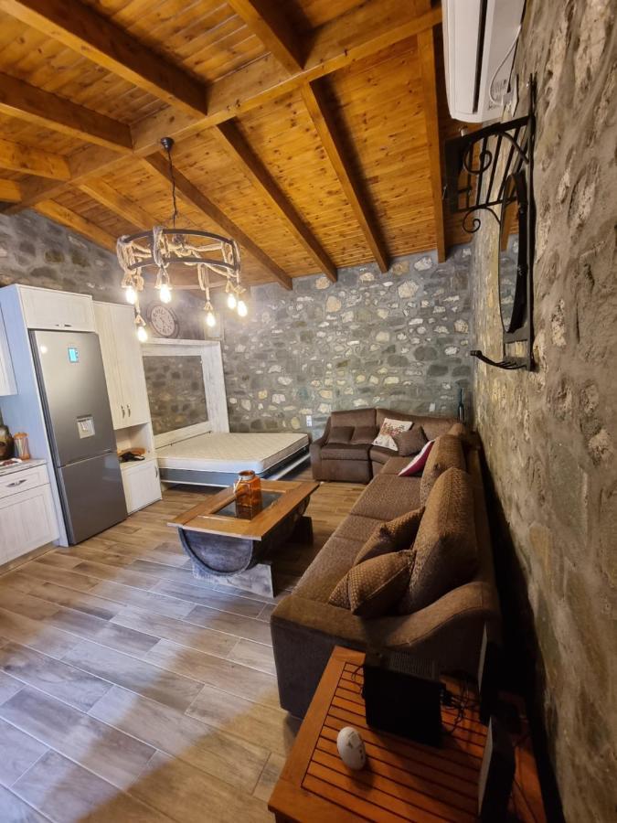 House With Big Garden And Barbeque In Nature Vourgareli Buitenkant foto