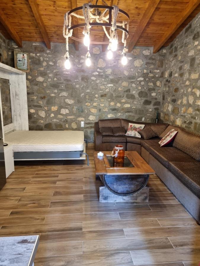 House With Big Garden And Barbeque In Nature Vourgareli Buitenkant foto