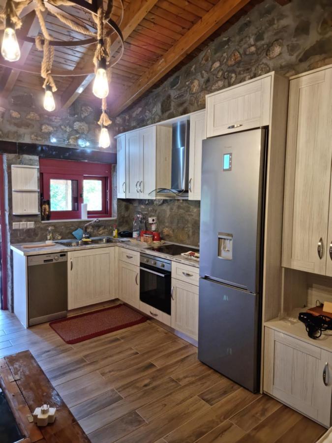 House With Big Garden And Barbeque In Nature Vourgareli Buitenkant foto