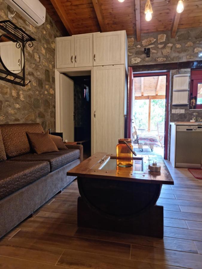 House With Big Garden And Barbeque In Nature Vourgareli Buitenkant foto