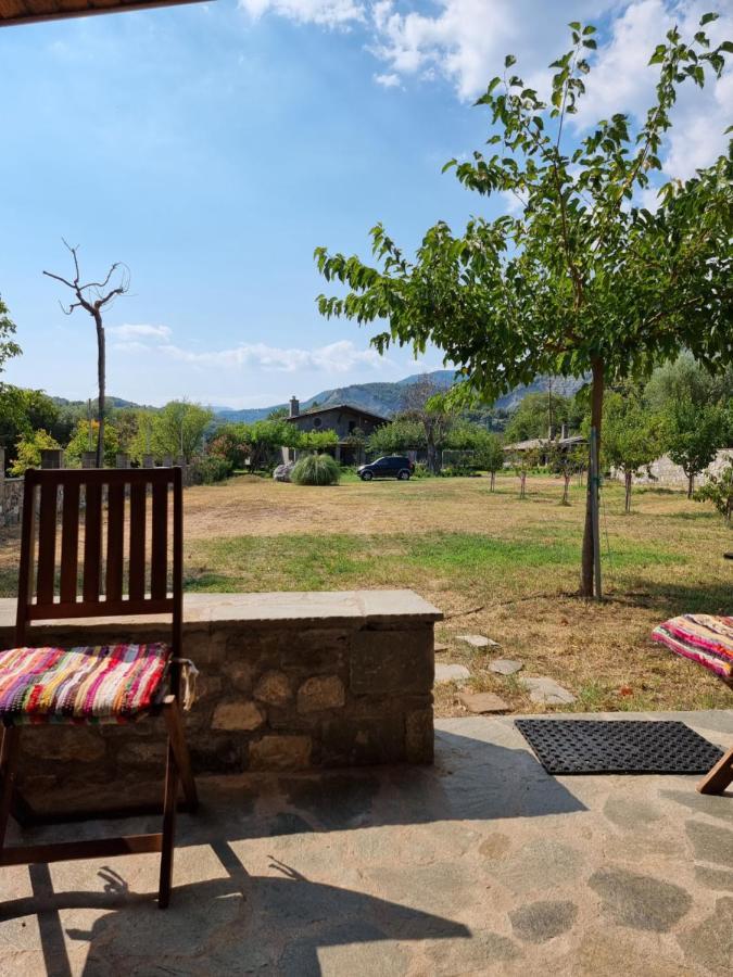 House With Big Garden And Barbeque In Nature Vourgareli Buitenkant foto