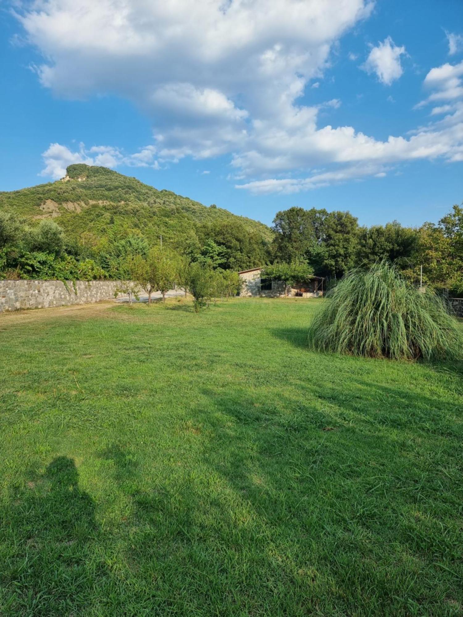 House With Big Garden And Barbeque In Nature Vourgareli Buitenkant foto