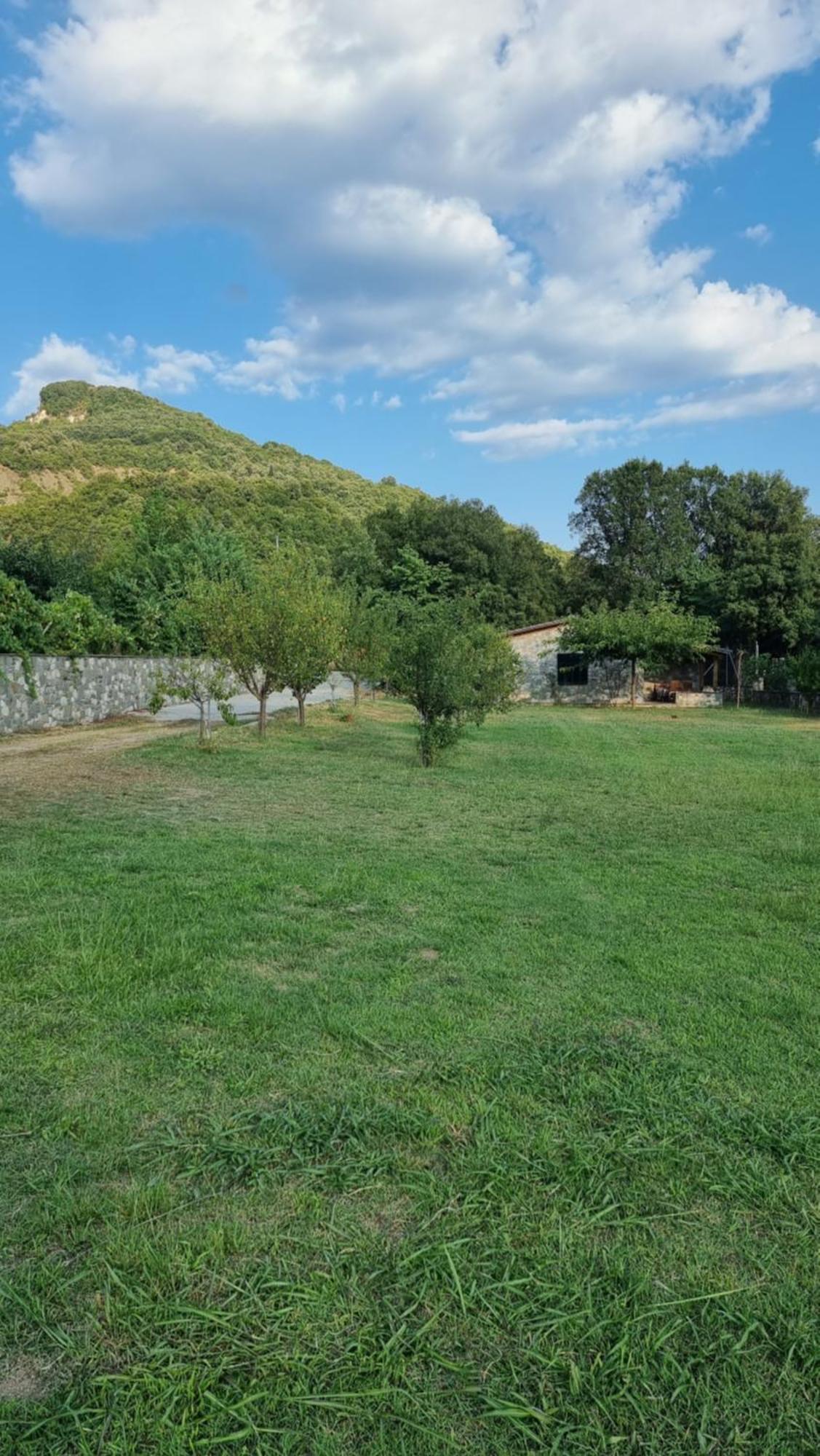 House With Big Garden And Barbeque In Nature Vourgareli Buitenkant foto