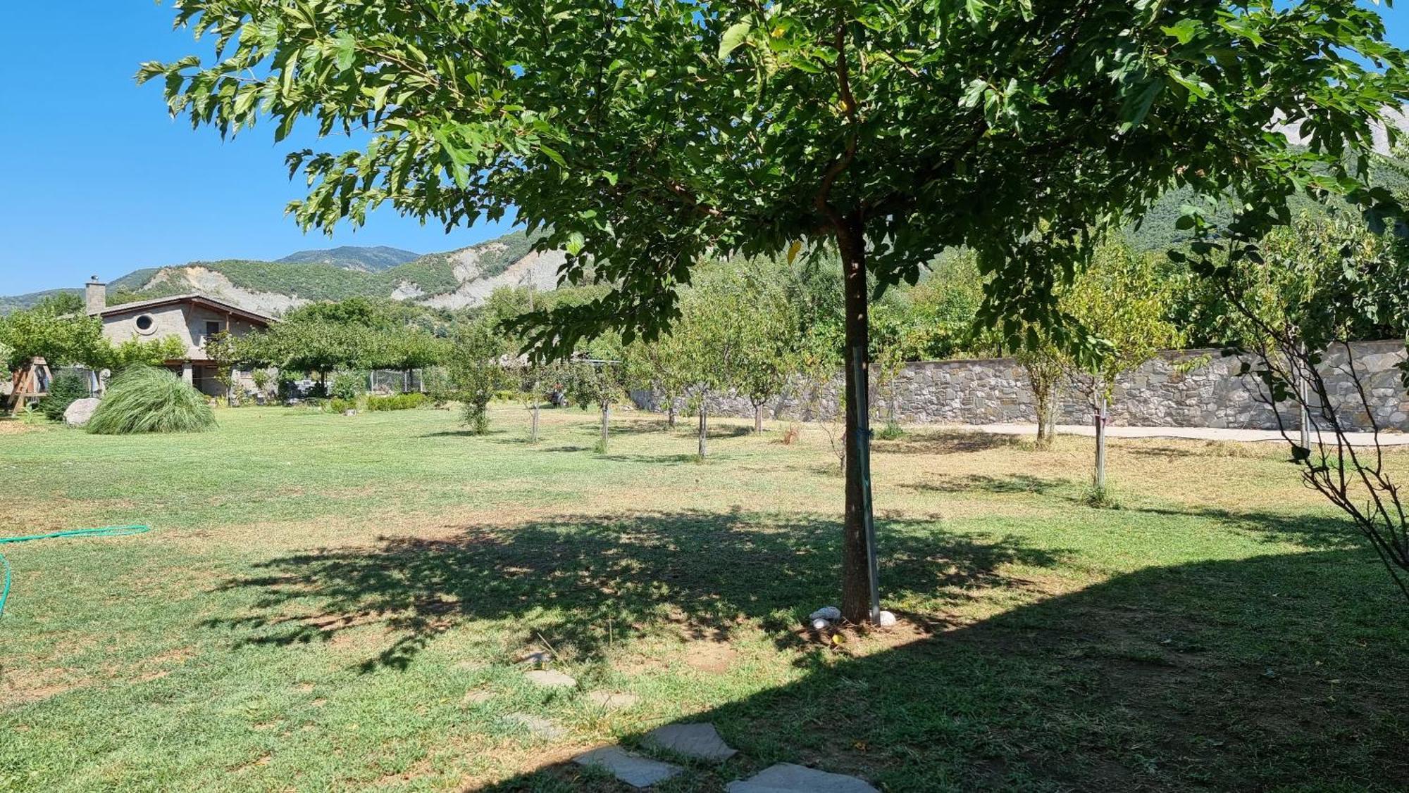 House With Big Garden And Barbeque In Nature Vourgareli Buitenkant foto